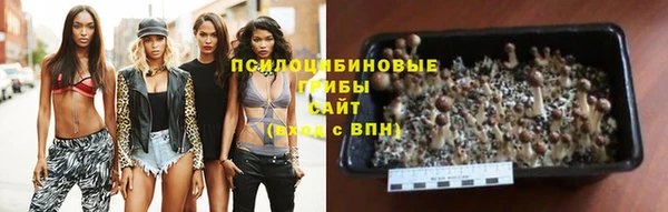 кокс Арсеньев