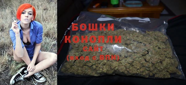 прущие крисы Аркадак
